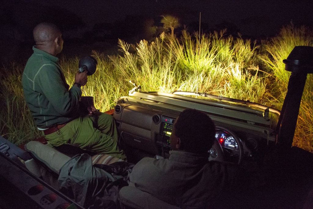 night safari africa