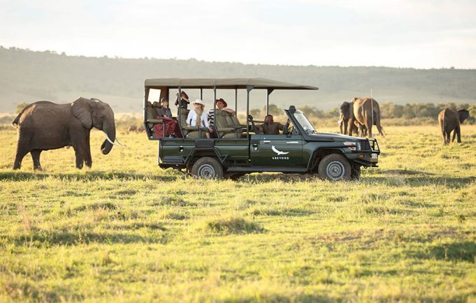 Top Tips for Game Viewing in Africa | African Safaris Guide