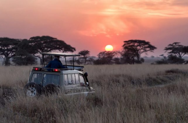 Top 5 Exciting Safari Experiences In Uganda African Safaris Guide